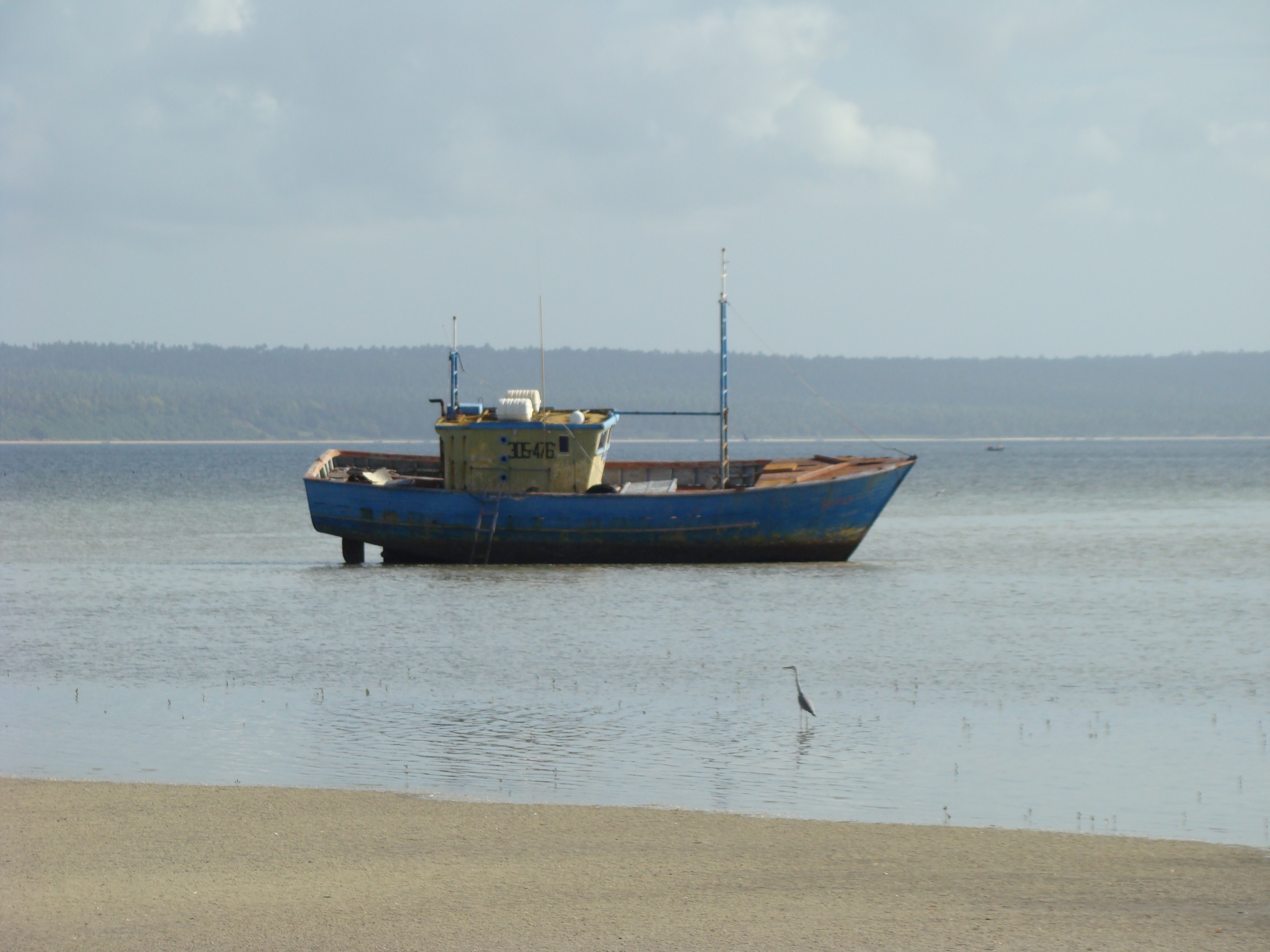 Inhambane  22 05 2010 A Maherry CSIRDSC04094