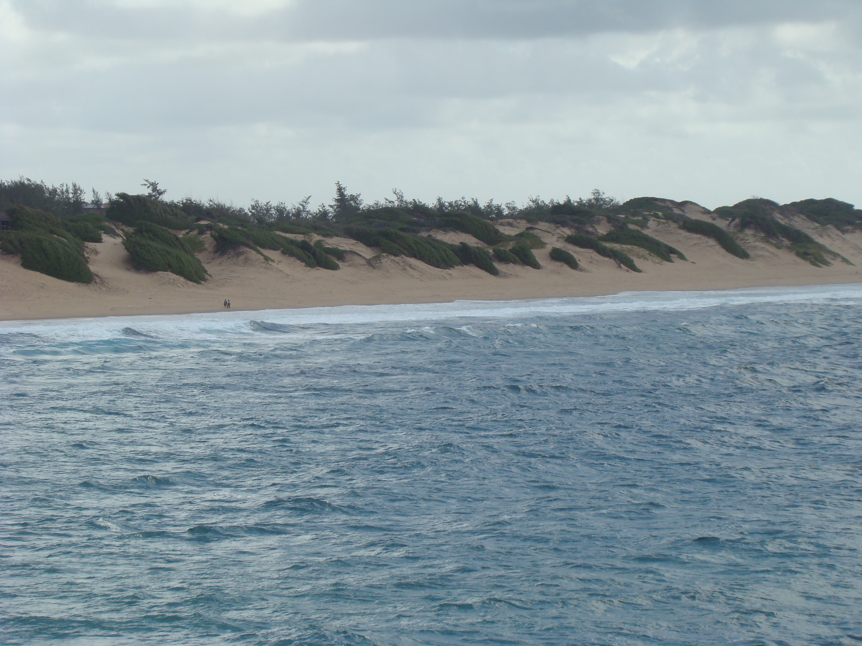 Inhambane Tofo  22 05 2010 A Maherry CSIR DSC04178