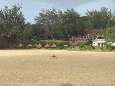 Inhambane Tofo  22 05 2010 A Maherry CSIR DSC04224