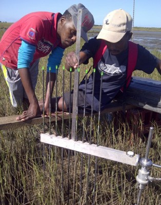 Swartkops Estuary LTER