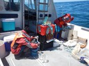 Plankton sampling, Algoa Bay